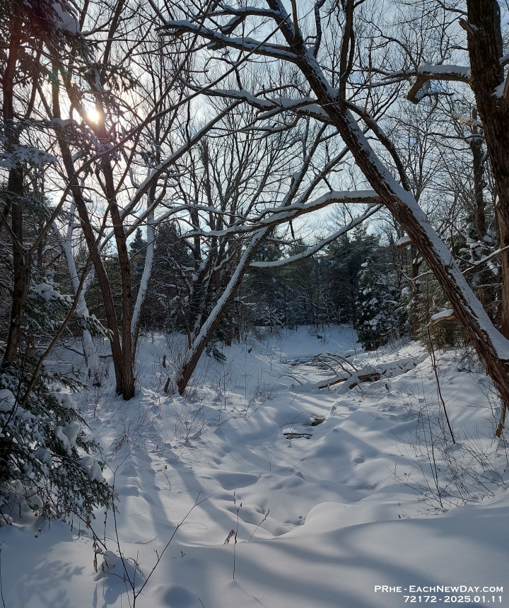 72172Cr - Showshoeing with Beth at the Copeland Forest